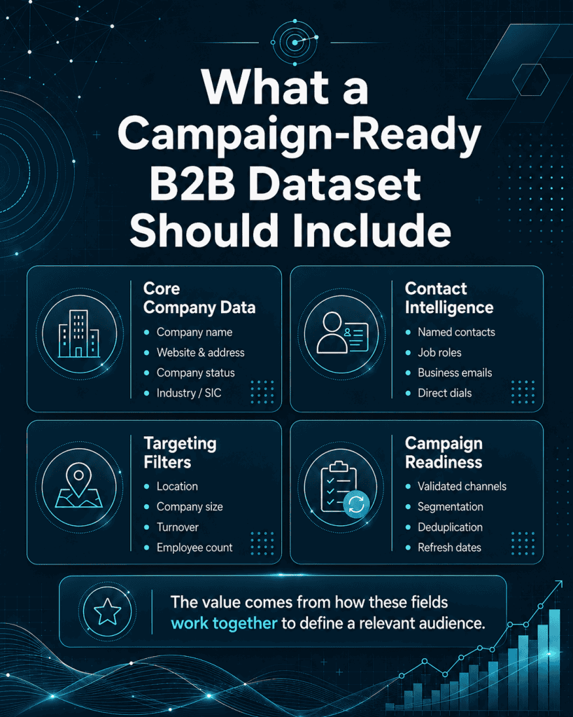 Campaign Ready B2B Dataset