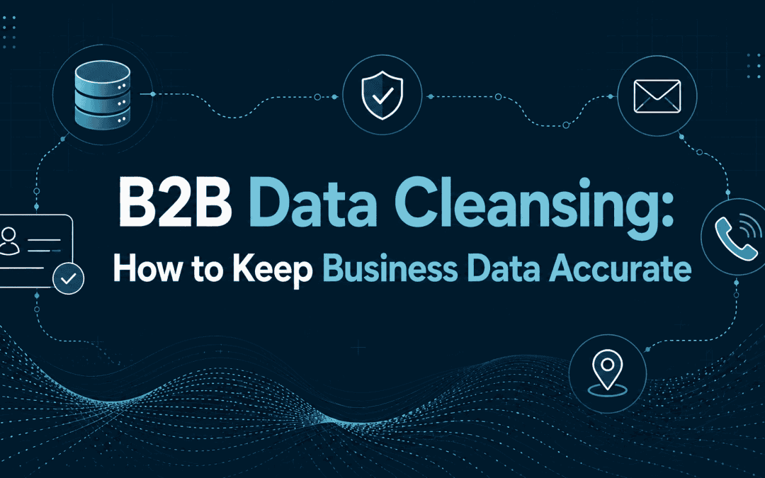 B2B Data Cleansing Blog