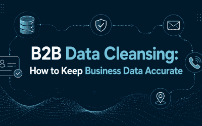 B2B Data Cleansing: How to Keep Business Data Accurate
